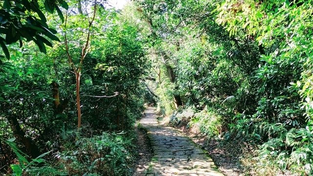圓明寺(九蓮寺)步道
