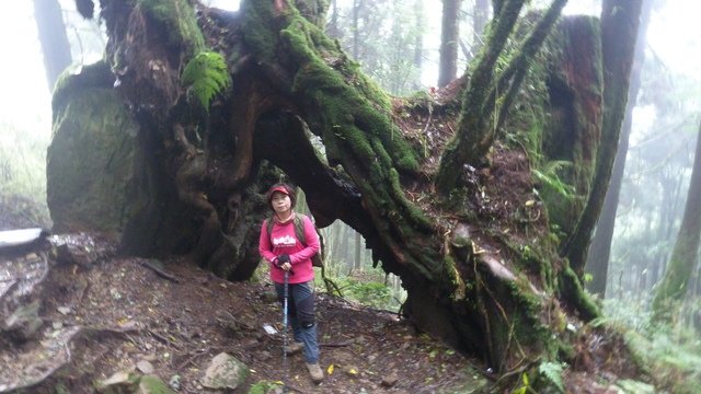 兒玉山、東水山岔路口