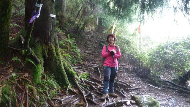 兒玉山、東水山岔路口