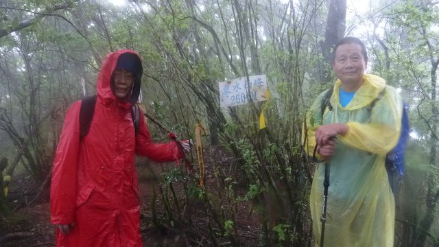 東水山西峰