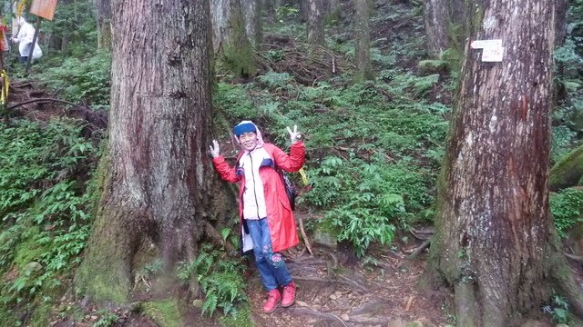 東水山西峰登山口