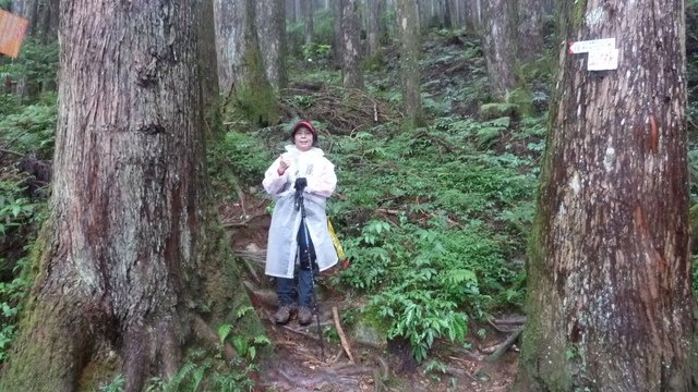 東水山西峰登山口