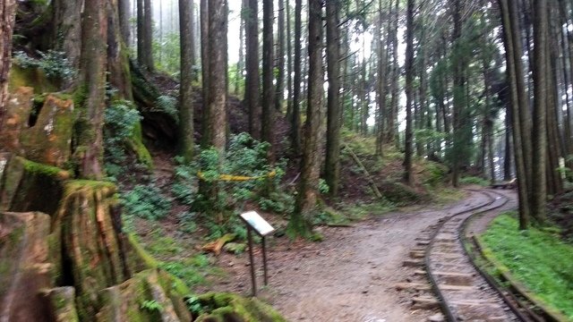 特富野古道