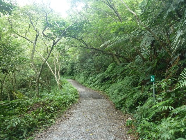 寬廣的產業道路