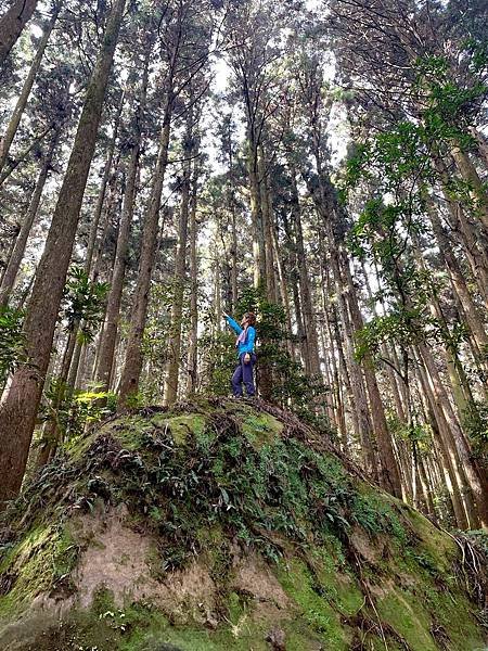 2022316加里山和哈堪尼山開心一日行_220317_13.jpg