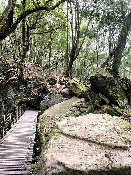 2022316加里山和哈堪尼山開心一日行_220318_9.jpg