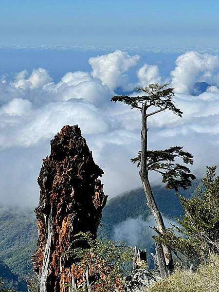 20211227-28年終最後趴、小關山登頂美拍_211228_3.jpg