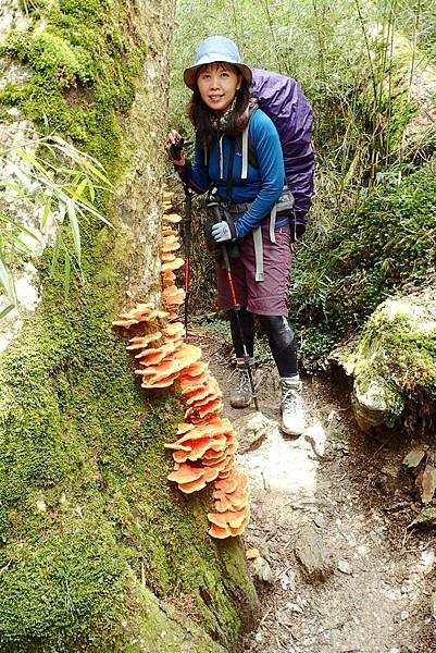 帶老婆上山吹吹風--奇萊主峰