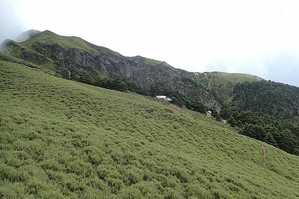 帶老婆上山吹吹風--奇萊主峰