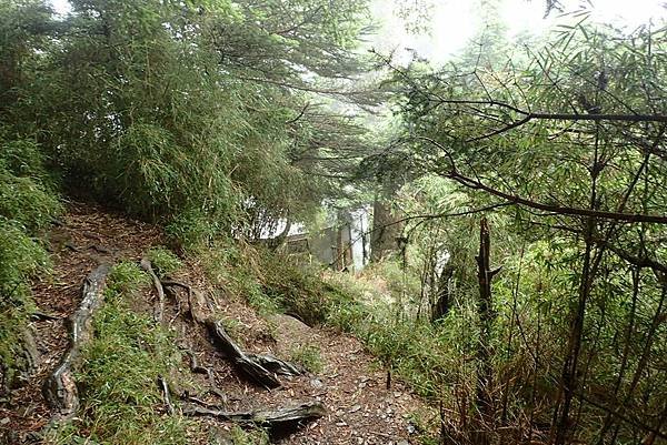 帶老婆上山吹吹風--奇萊主峰