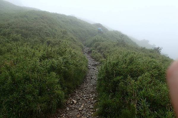 帶老婆上山吹吹風--奇萊主峰