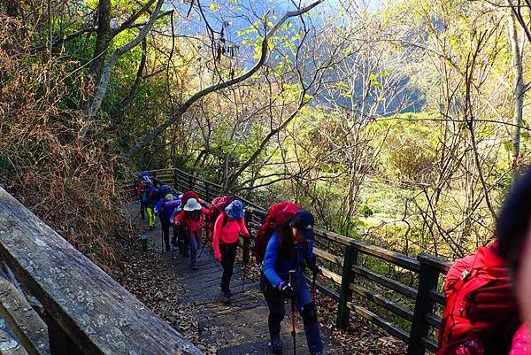 2019新春樂樂溫泉泡湯趣