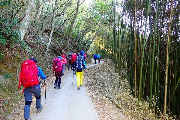 2019新春樂樂溫泉泡湯趣