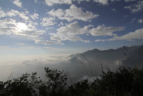 東卯山夜拍