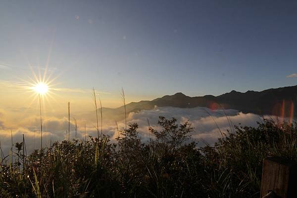 東卯山夜拍