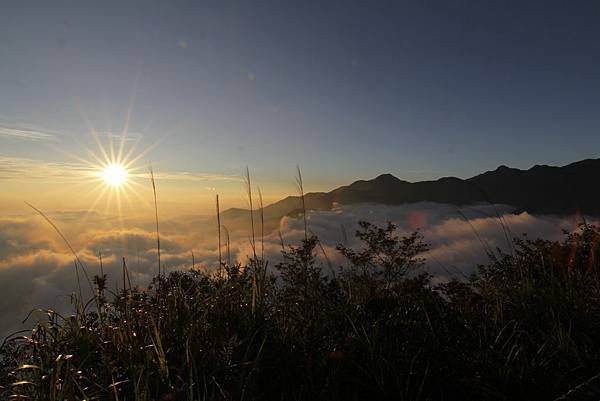 東卯山夜拍