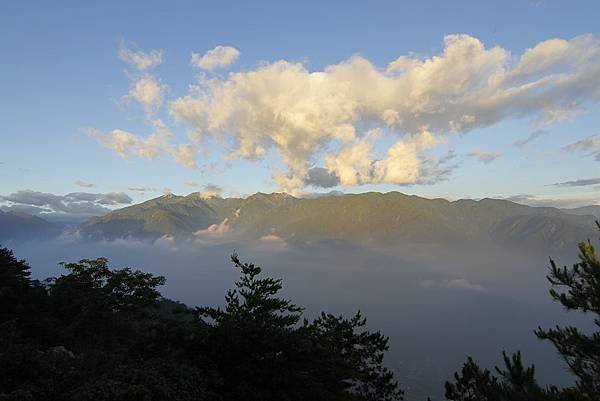 東卯山夜拍