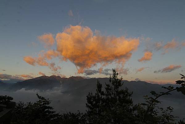 東卯山夜拍