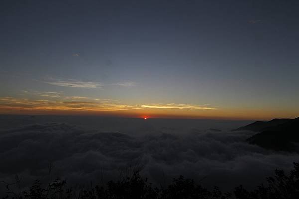 東卯山夜拍