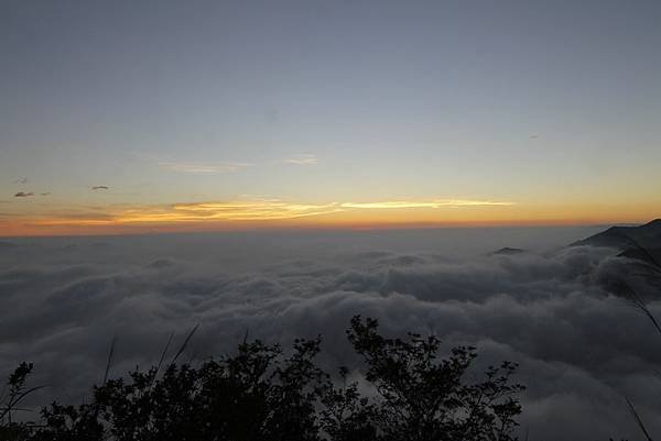 東卯山夜拍