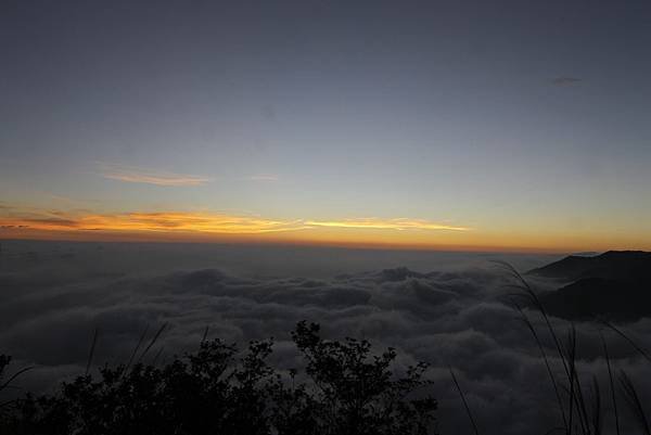 東卯山夜拍