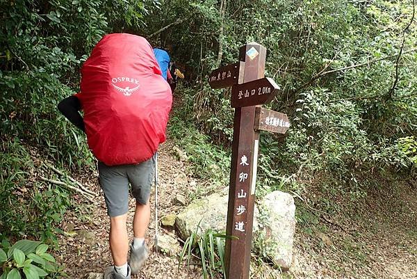 東卯山夜拍