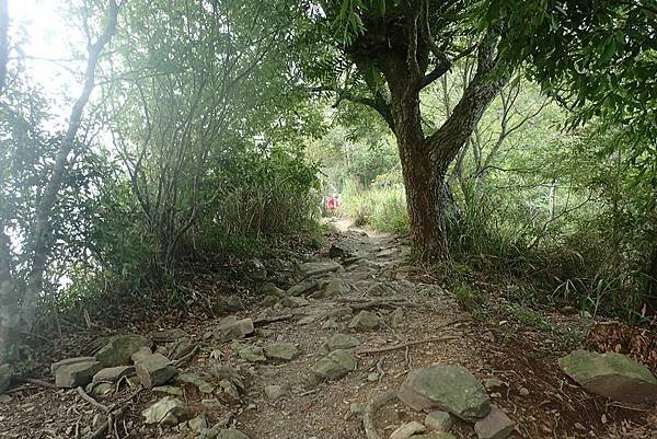 東卯山夜拍