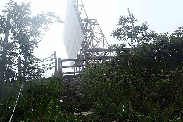 東卯山夜拍