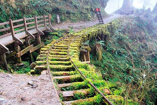 春遊太平山