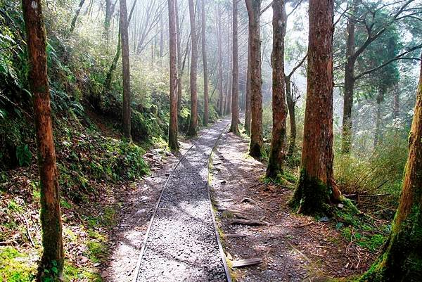 春遊太平山