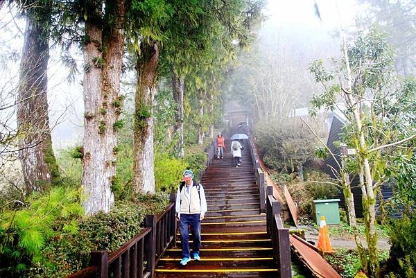 春遊太平山