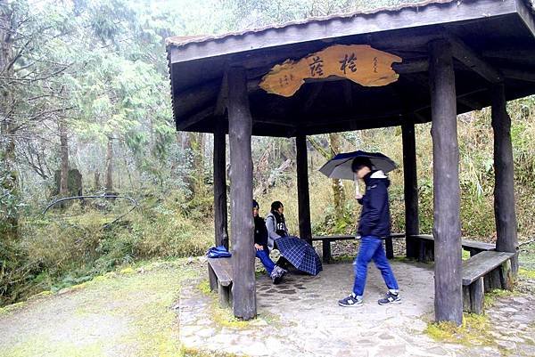 春遊太平山