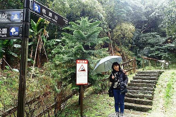 春遊太平山