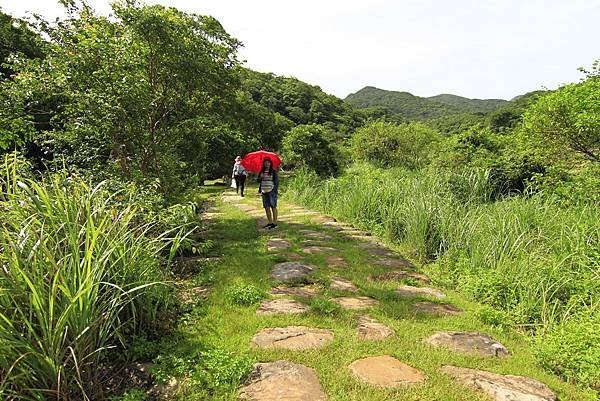 象鼻岩桃源谷一日趴趴走