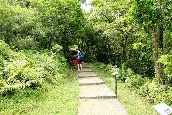 象鼻岩桃源谷一日趴趴走