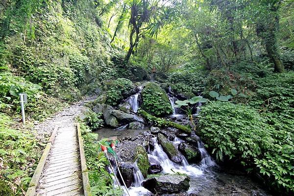 宜蘭抹茶山一日遊