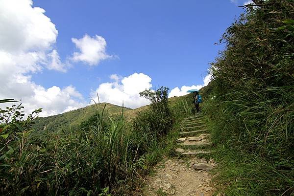 宜蘭抹茶山一日遊