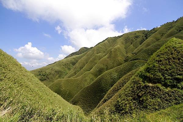 宜蘭抹茶山一日遊