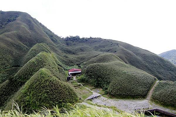 宜蘭抹茶山一日遊