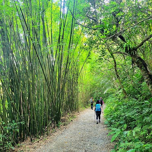 宜蘭抹茶山一日遊