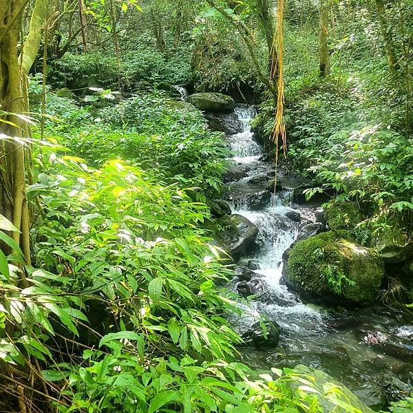 宜蘭抹茶山一日遊