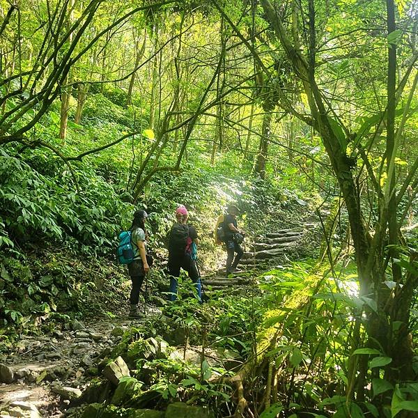 宜蘭抹茶山一日遊