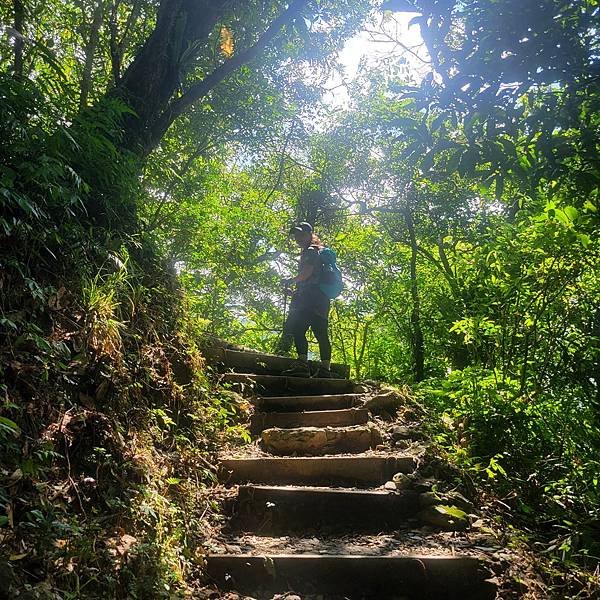 宜蘭抹茶山一日遊