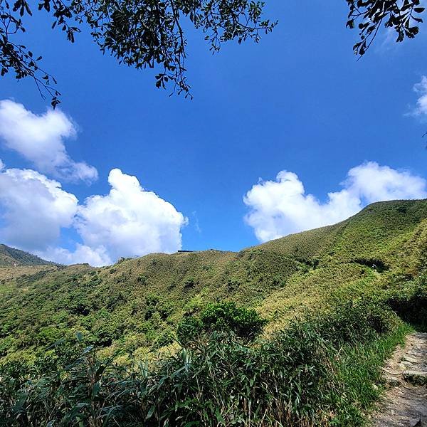 宜蘭抹茶山一日遊