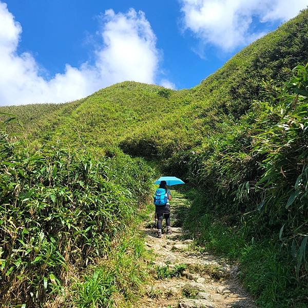 宜蘭抹茶山一日遊