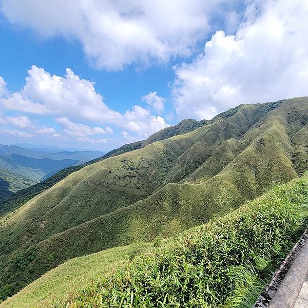 宜蘭抹茶山一日遊