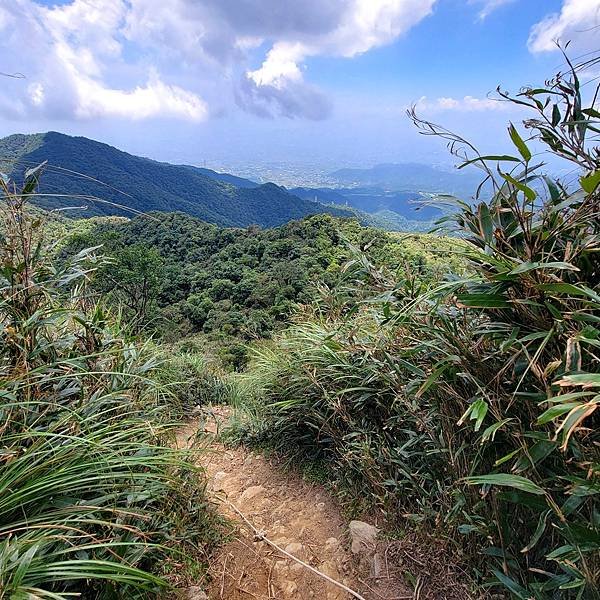 宜蘭抹茶山一日遊