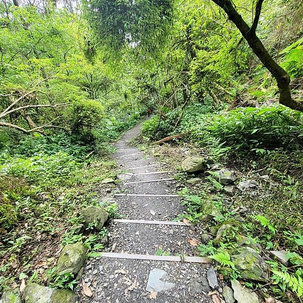 宜蘭抹茶山一日遊