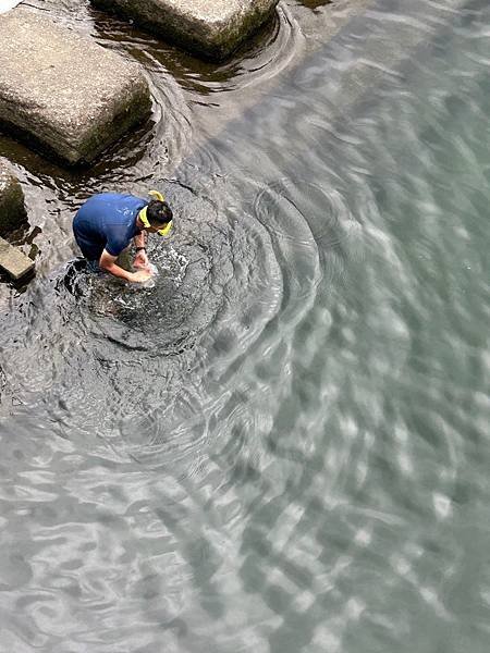 LINE_ALBUM_20240805抹茶山⛰️_240806_1.jpg