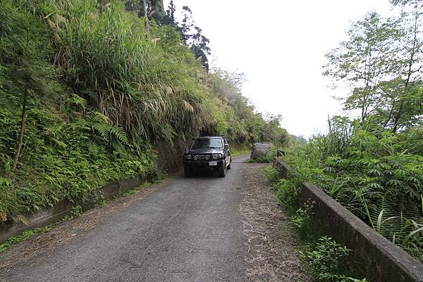 郡大山賞花行